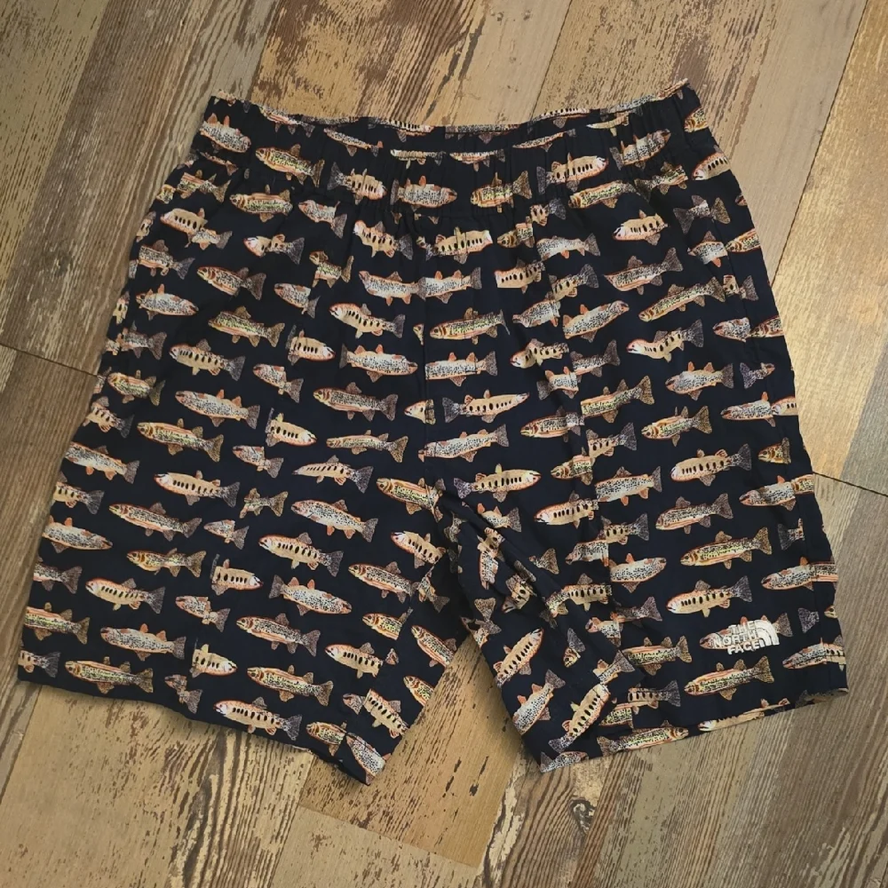 The North Face Men's Printed Class V Pull On 7